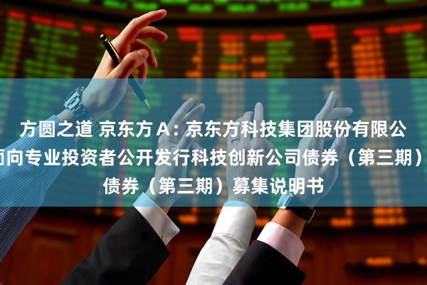 方圆之道 京东方Ａ: 京东方科技集团股份有限公司2025年面向专业投资者公开发行科技创新公司债券（第三期）募集说明书