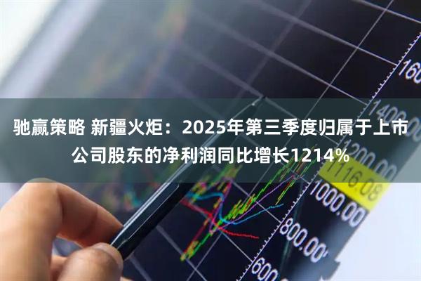 驰赢策略 新疆火炬：2025年第三季度归属于上市公司股东的净利润同比增长1214%