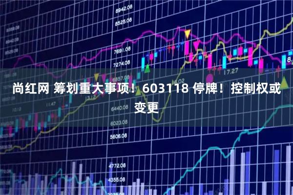 尚红网 筹划重大事项！603118 停牌！控制权或变更