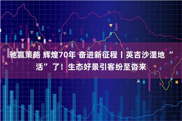 驰赢策略 辉煌70年 奋进新征程丨英吉沙湿地 “活” 了！生态好景引客纷至沓来